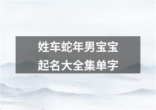 姓车蛇年男宝宝起名大全集单字