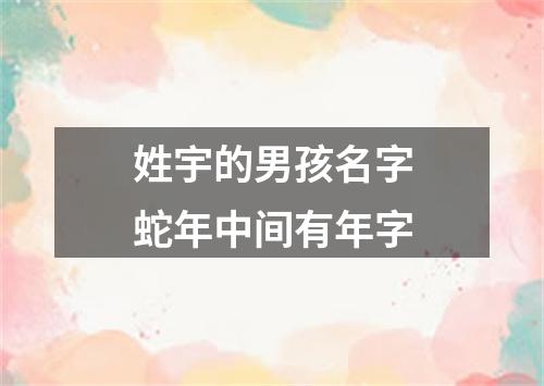 姓宇的男孩名字蛇年中间有年字