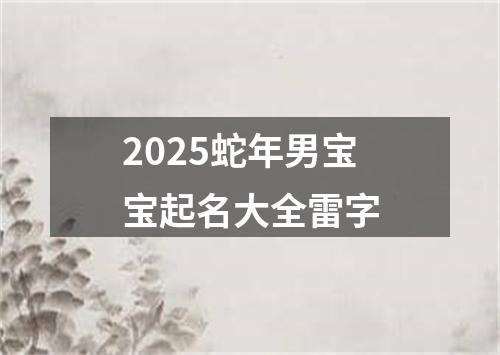 2025蛇年男宝宝起名大全雷字