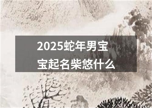 2025蛇年男宝宝起名柴悠什么