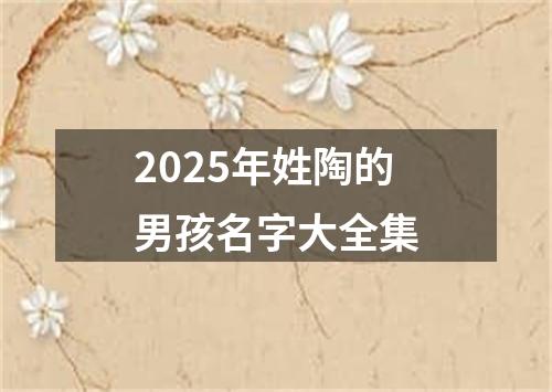 2025年姓陶的男孩名字大全集