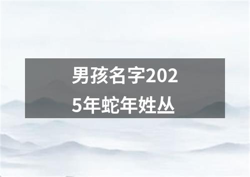 男孩名字2025年蛇年姓丛