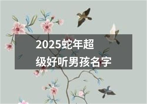 2025蛇年超级好听男孩名字