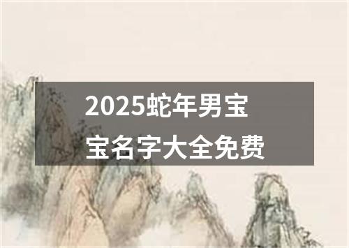 2025蛇年男宝宝名字大全免费