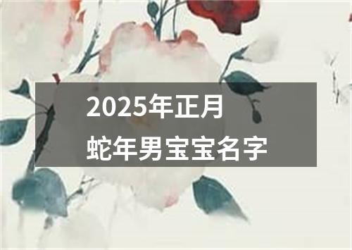 2025年正月蛇年男宝宝名字