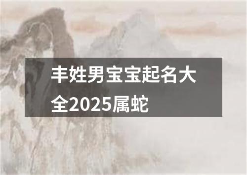 丰姓男宝宝起名大全2025属蛇