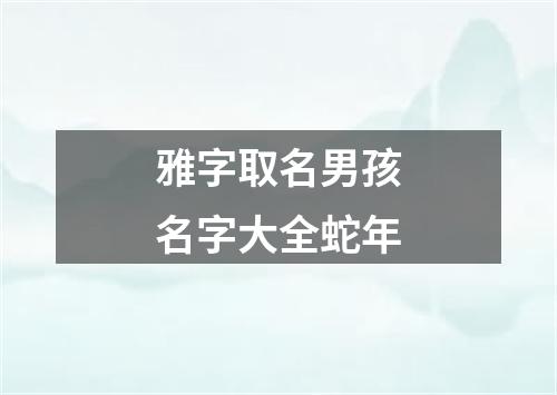 雅字取名男孩名字大全蛇年