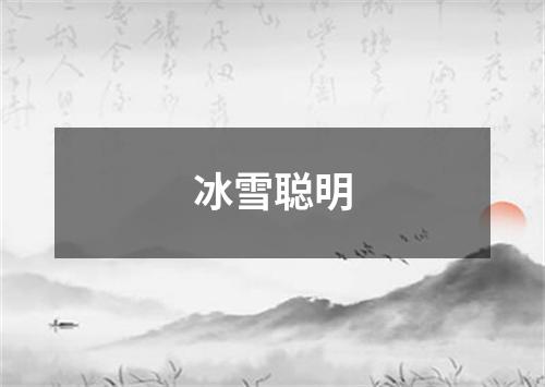 冰雪聪明