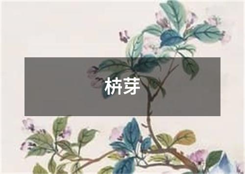 枿芽