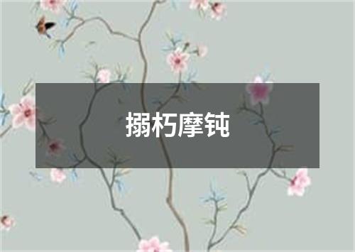 搦朽摩钝