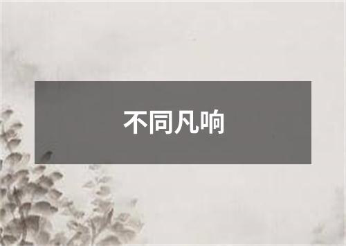 不同凡响