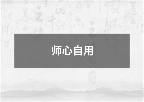 师心自用