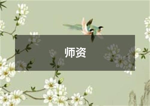 师资