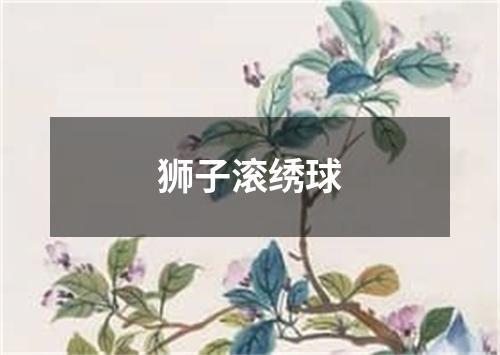 狮子滚绣球