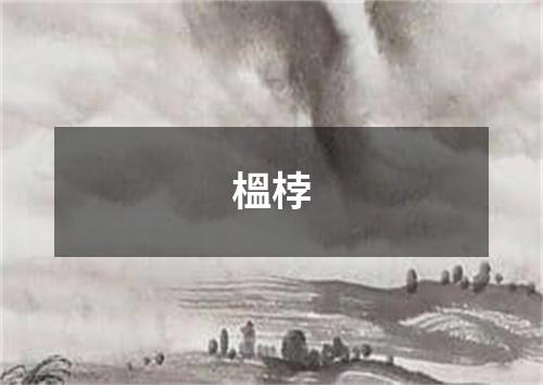 榲桲