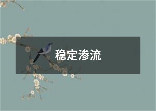 稳定渗流