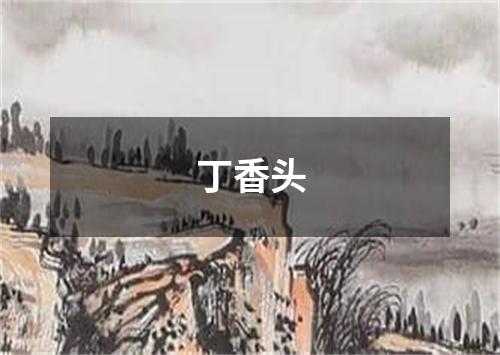 丁香头