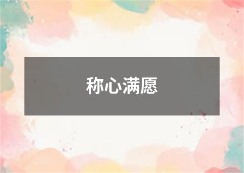 称心满愿