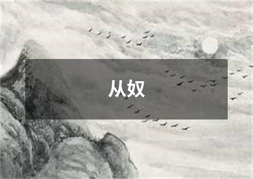 从奴