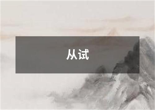 从试