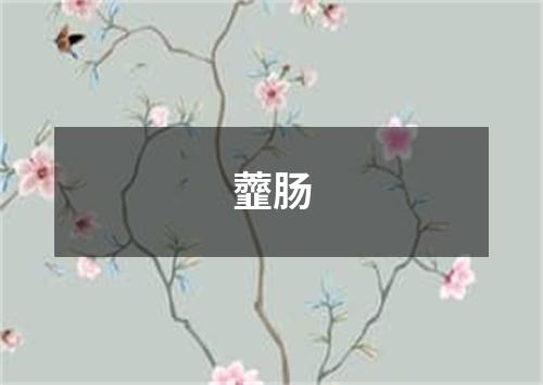 虀肠