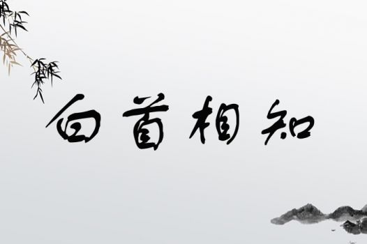 白首相知