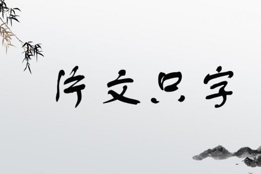 片文只字