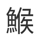 鯸