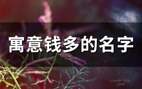 寓意钱多的名字