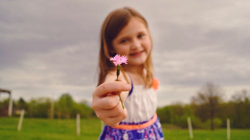 双瞳剪水 出水芙蓉的女孩名字