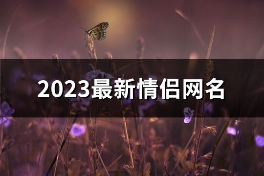 2023最新情侣网名(共291个)