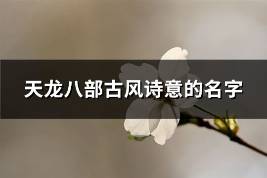 天龙八部古风诗意的名字(共241个)