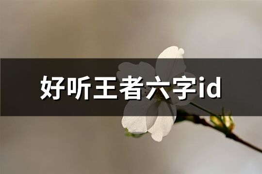 好听王者六字id(共496个)