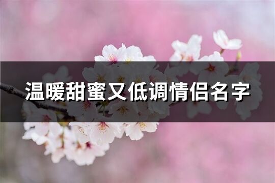 温暖甜蜜又低调情侣名字(共392个)