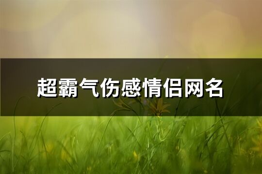 超霸气伤感情侣网名(共64个)