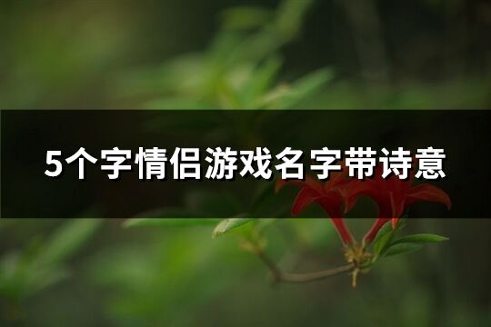 5个字情侣游戏名字带诗意(共94个)