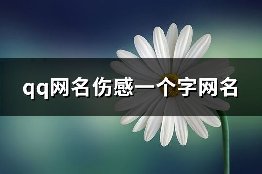 qq网名伤感一个字网名(共139个)