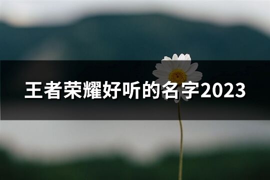 王者荣耀好听的名字2023(共79个)