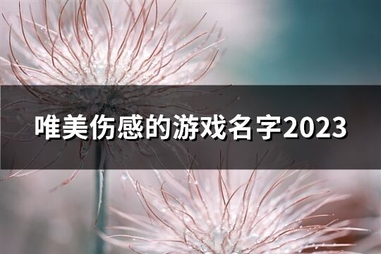 唯美伤感的游戏名字2023(精选69个)