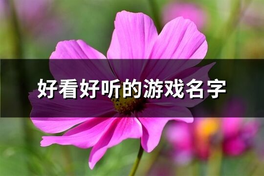 好看好听的游戏名字(精选329个)