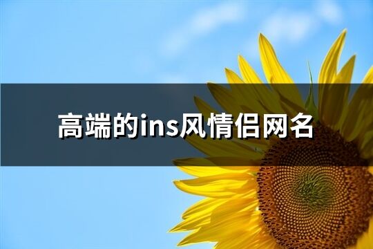 高端的ins风情侣网名(共67个)