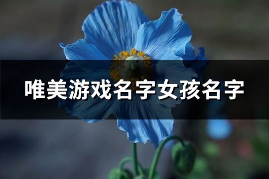 唯美游戏名字女孩名字(共923个)