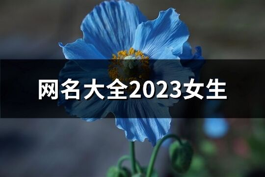 网名大全2023女生(1069个)