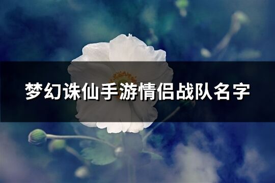 梦幻诛仙手游情侣战队名字(共168个)