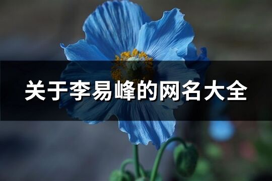 关于李易峰的网名大全(共104个)