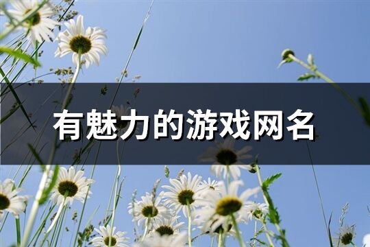 有魅力的游戏网名(共123个)