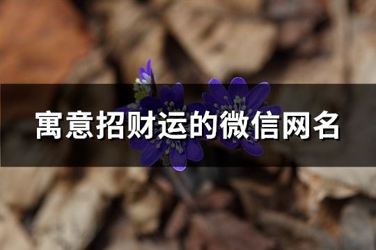 寓意招财运的微信网名(精选944个)