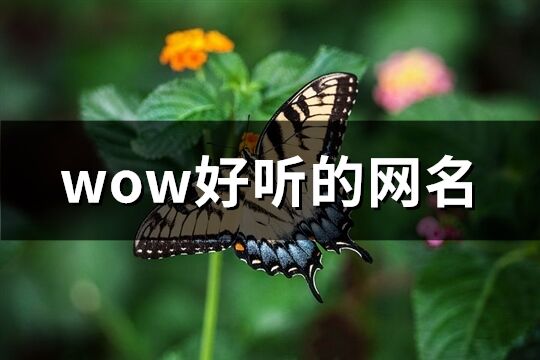 wow好听的网名(共274个)