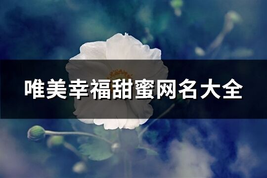 唯美幸福甜蜜网名大全(共207个)