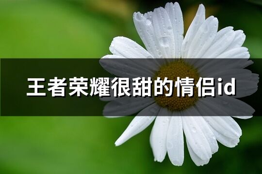 王者荣耀很甜的情侣id(共78个)